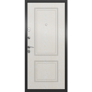 Металлическая дверь Torex X5 MP-5