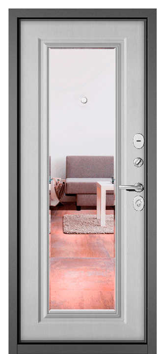 Входные металлические двери Torex X5 MP-10