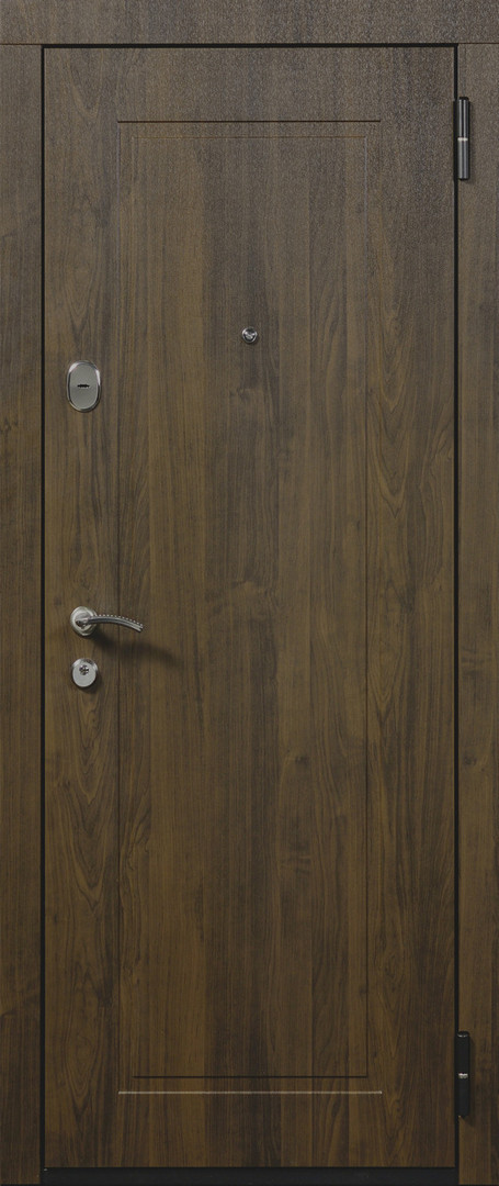 Входные металлические двери Staller Ален