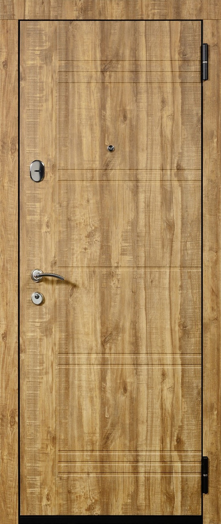 Входные металлические двери Staller Баден