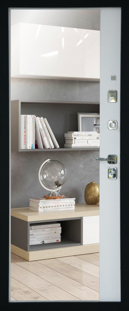 Входные металлические двери Staller TR9