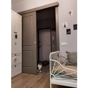 Раздвижная дверь Newdoor 1 эмаль Мокко